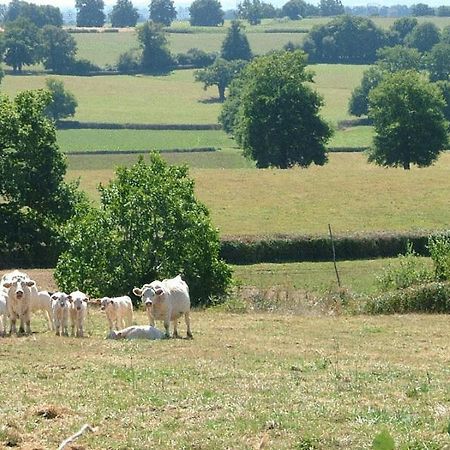 مبيت وإفطار إيجرونْدْ Domaine De La Madeleine المظهر الخارجي الصورة
