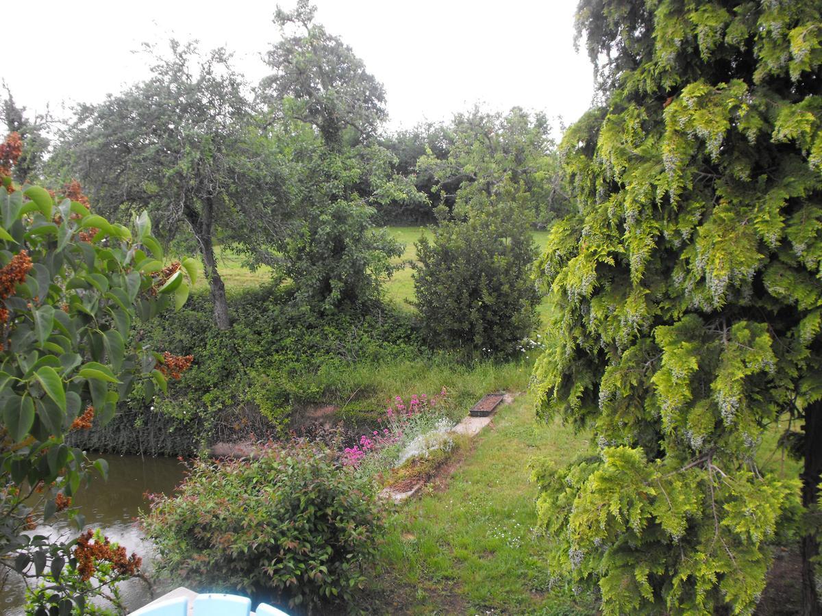 مبيت وإفطار إيجرونْدْ Domaine De La Madeleine المظهر الخارجي الصورة