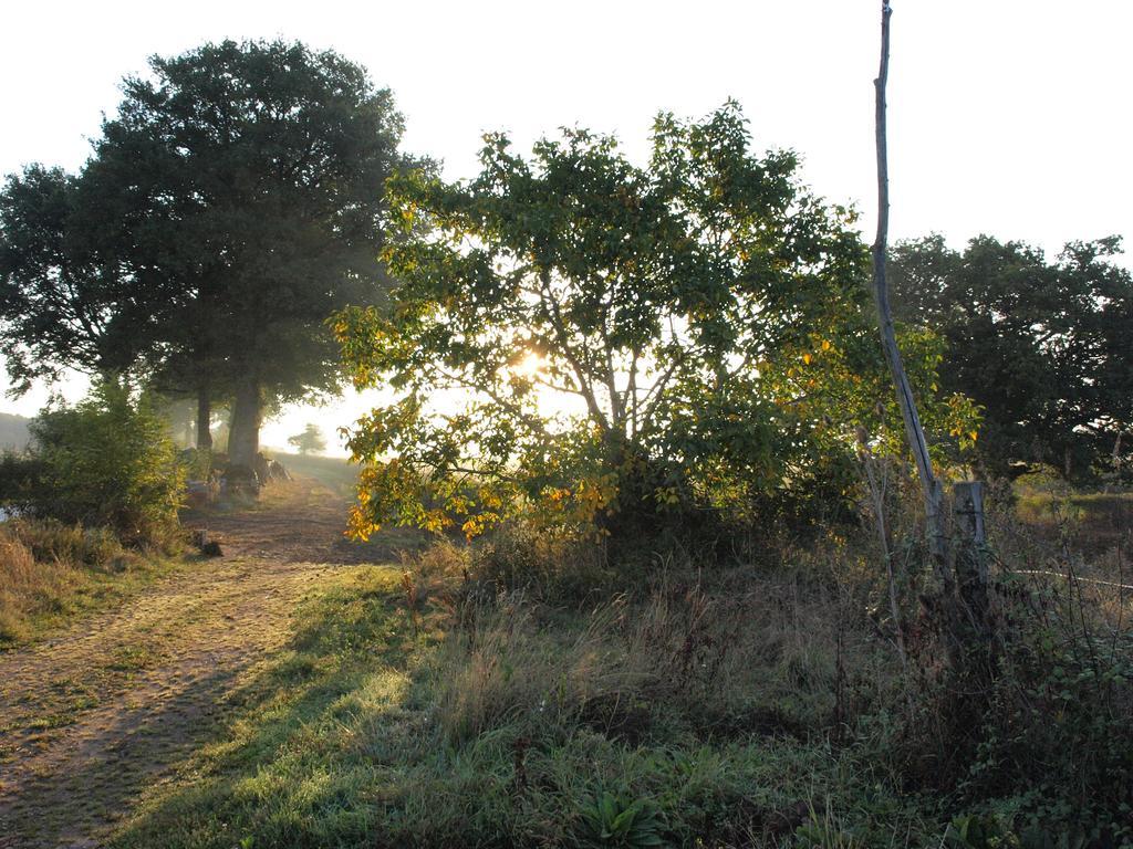مبيت وإفطار إيجرونْدْ Domaine De La Madeleine المظهر الخارجي الصورة
